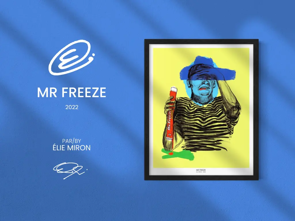 MR-FREEZE-Setup.webp