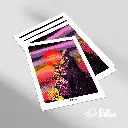 Ardeur-Paix-artiste-Elie-Miron-02.webp
