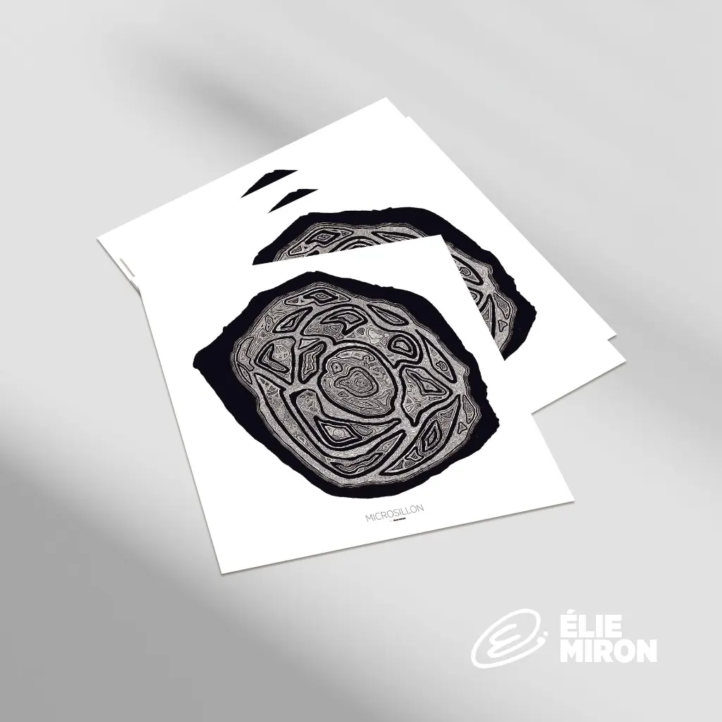 Microsillon-Elie-Miron-02.webp