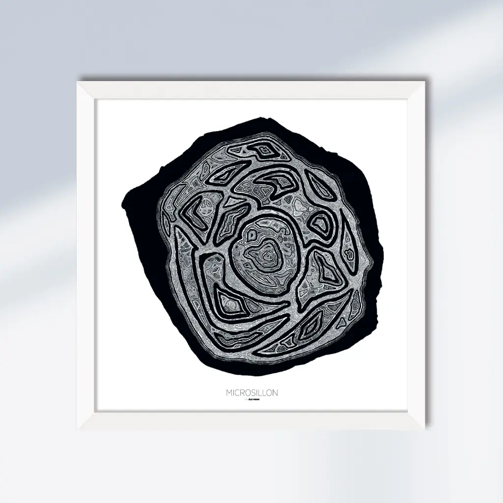 Microsillon-Elie-Miron-04.webp