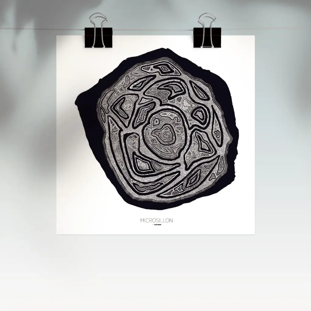 Microsillon par Élie Miron (Avec signature de l'artiste)