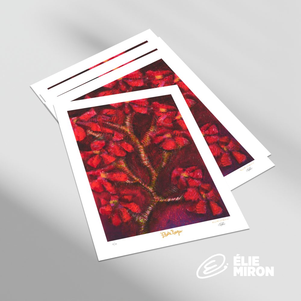 Fleurs Rouges - Édition Limitée - Image 2